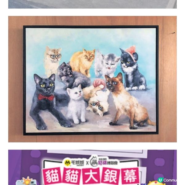 「香港貓迷博覽會2025」周末會展舉行 4米金字塔裝置打卡位