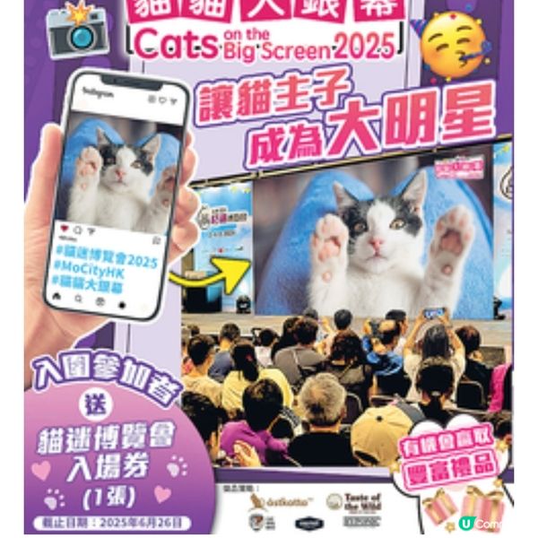 「香港貓迷博覽會2025」周末會展舉行 4米金字塔裝置打卡位