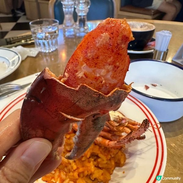 高質大半隻龍蝦燴飯😍