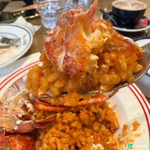 高質大半隻龍蝦燴飯😍