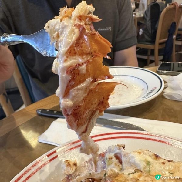 高質大半隻龍蝦燴飯😍🩷