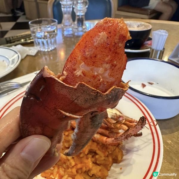 高質大半隻龍蝦燴飯😍🩷