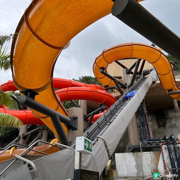 💦香港海洋公園水上樂園勁好玩！🛝🥳