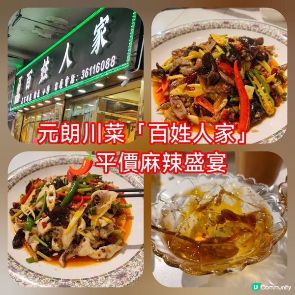 【元朗百姓人家🌶️！平價川菜麻辣過癮😋】