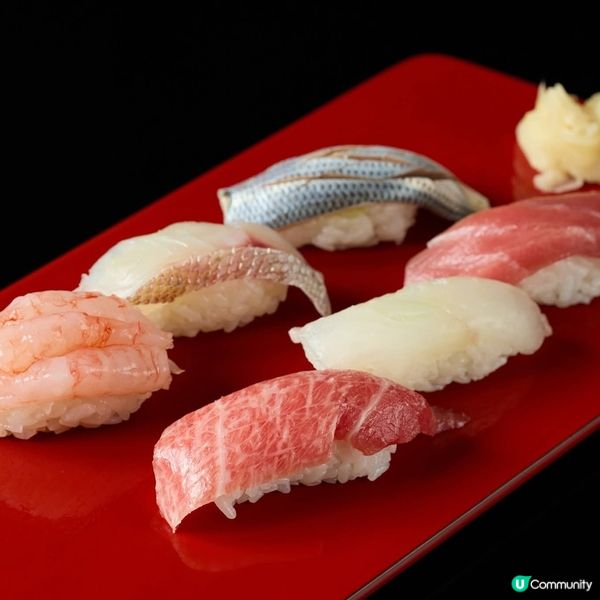 新潟おまかせ壽司🤤！支持小店，正呀喂！🍣😋