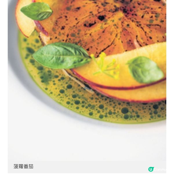 米芝蓮一星餐廳時令餐單登場 夏季限定海鮮盛宴烤菠蘿甜點