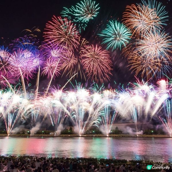 新潟花火祭！🎆 8/8-10/8 必去！🤩