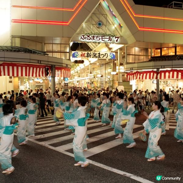 新潟花火祭！🎆 8/8-10/8 必去！🤩