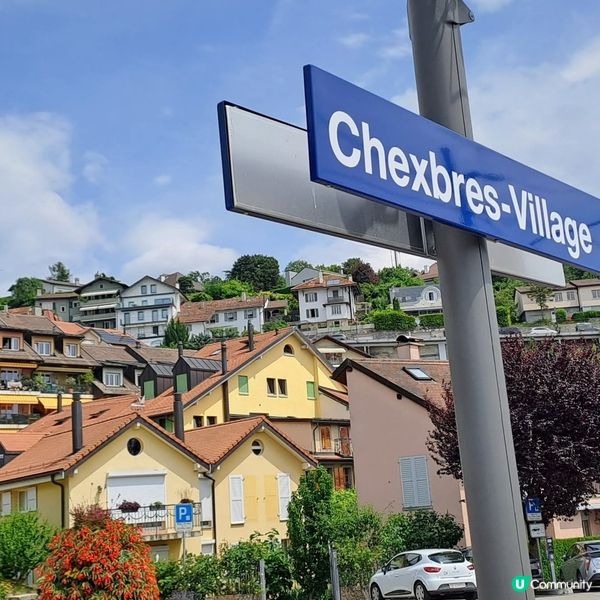 瑞士拉沃葡萄園🍇🍷🥂梯田🏕