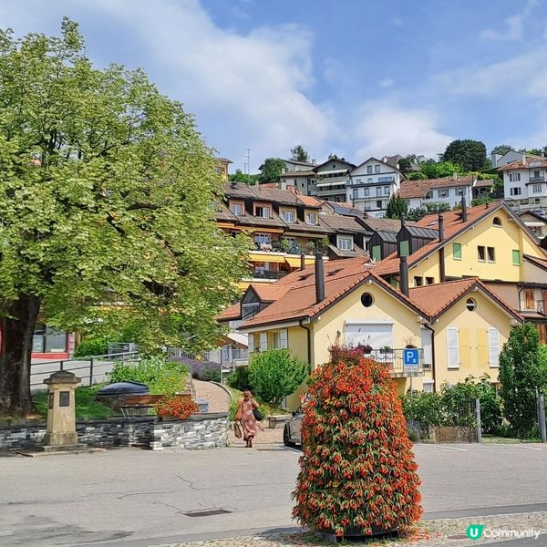 瑞士拉沃葡萄園🍇🍷🥂梯田🏕