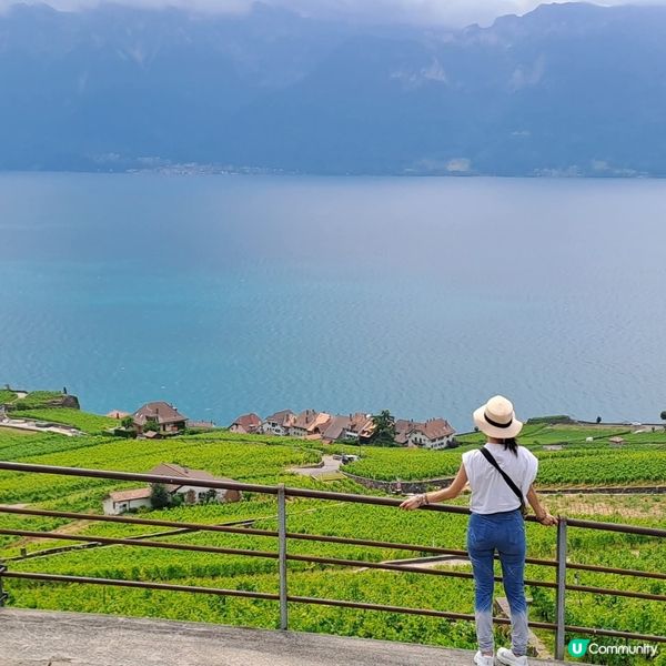 瑞士拉沃葡萄園🍇🍷🥂梯田🏕