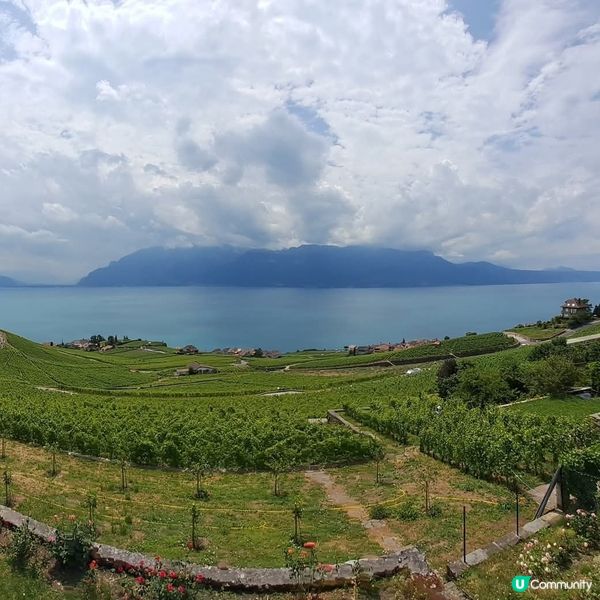 瑞士拉沃葡萄園🍇🍷🥂梯田🏕