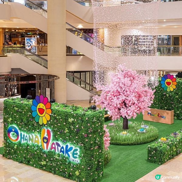 太古廣場全港首個村上隆期間限定店 沉浸式巨型櫻花藝術裝置