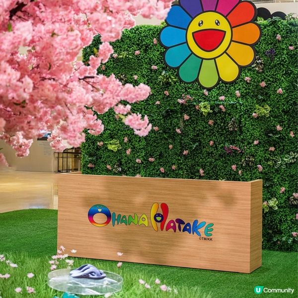 太古廣場全港首個村上隆期間限定店 沉浸式巨型櫻花藝術裝置