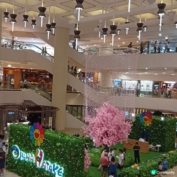 村上隆小花鞋履限定店登陸太古廣場！🌸👟