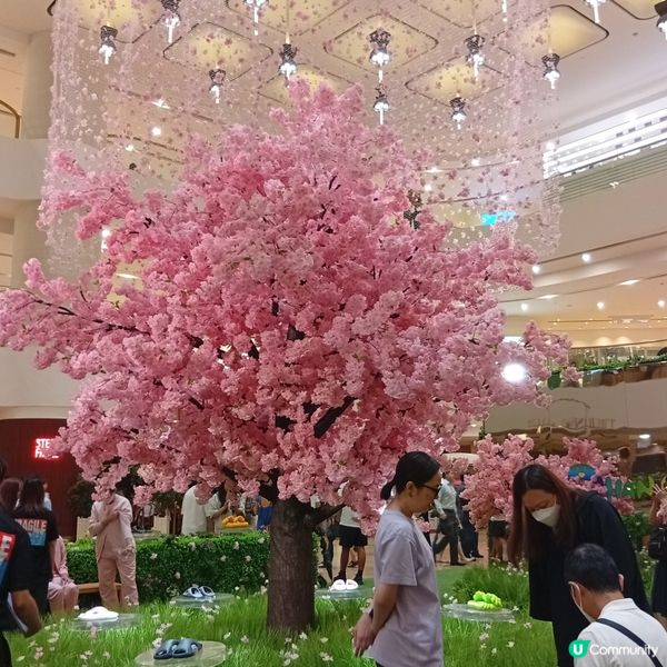 村上隆小花鞋履限定店登陸太古廣場！🌸👟