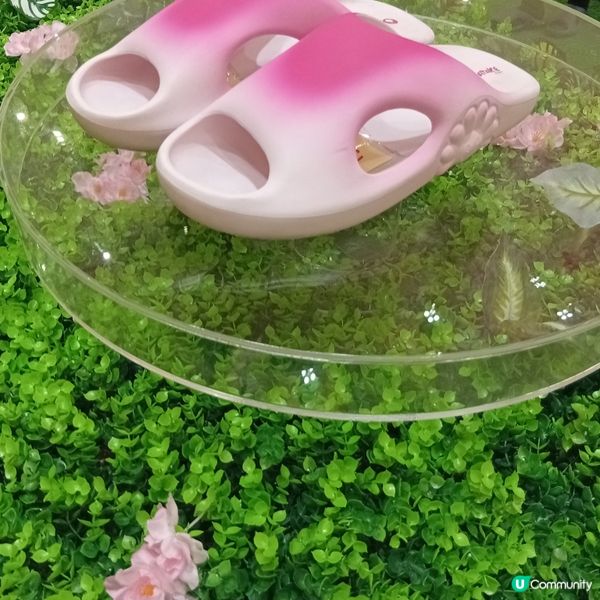 村上隆小花鞋履限定店登陸太古廣場！🌸👟