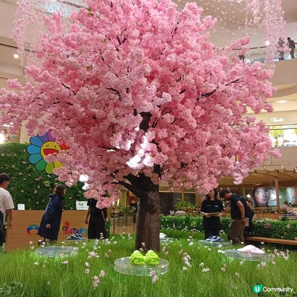 村上隆小花鞋履限定店登陸太古廣場！🌸👟