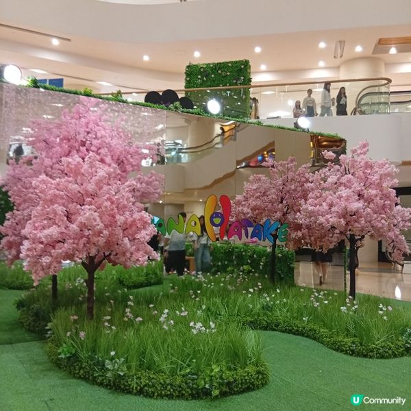 村上隆小花鞋履限定店登陸太古廣場！🌸👟