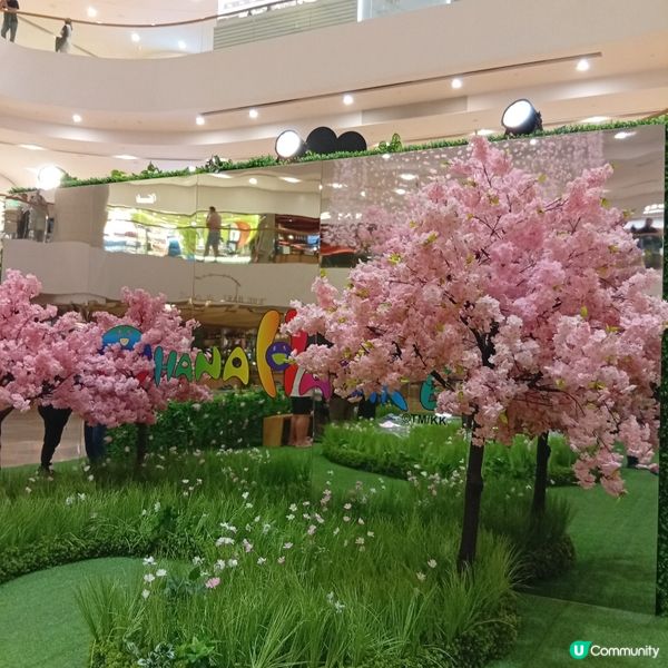 村上隆小花鞋履限定店登陸太古廣場！🌸👟