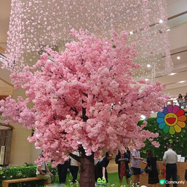 村上隆小花鞋履限定店登陸太古廣場！🌸👟