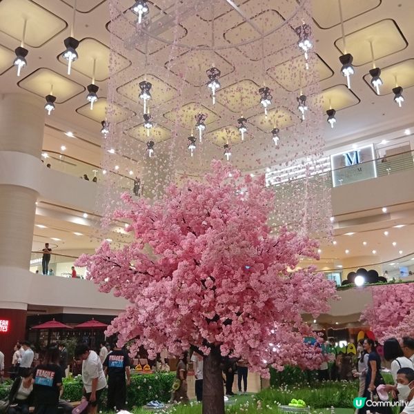 村上隆小花鞋履限定店登陸太古廣場！🌸👟