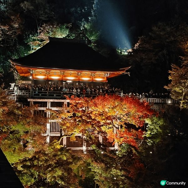 全年限定13日嘅清水寺夜祭，以2024年為例，因11月18日...