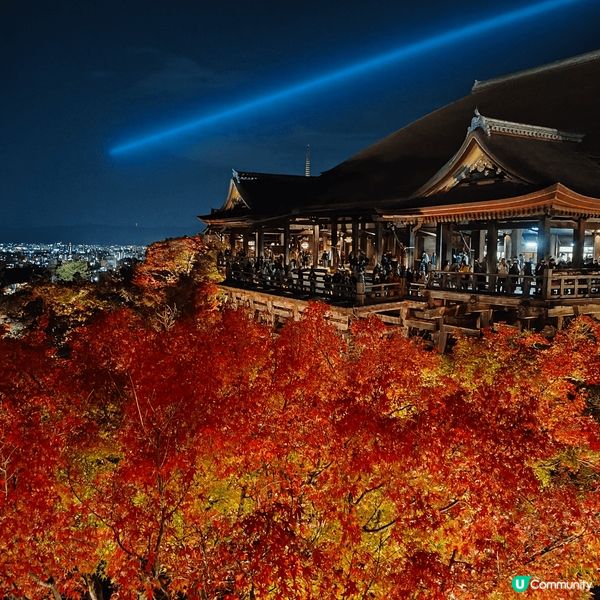 全年限定13日嘅清水寺夜祭，以2024年為例，因11月18日...