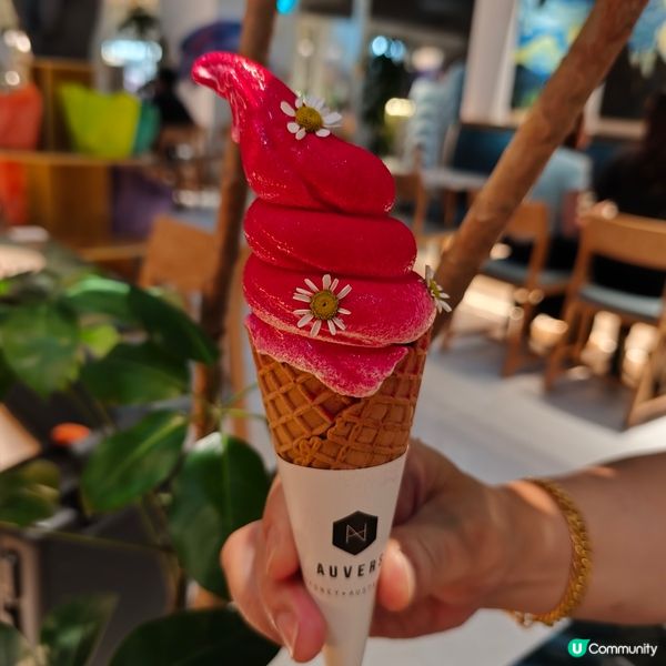 澳洲風味晚餐！😋 深圳慢活之旅！🇦🇺