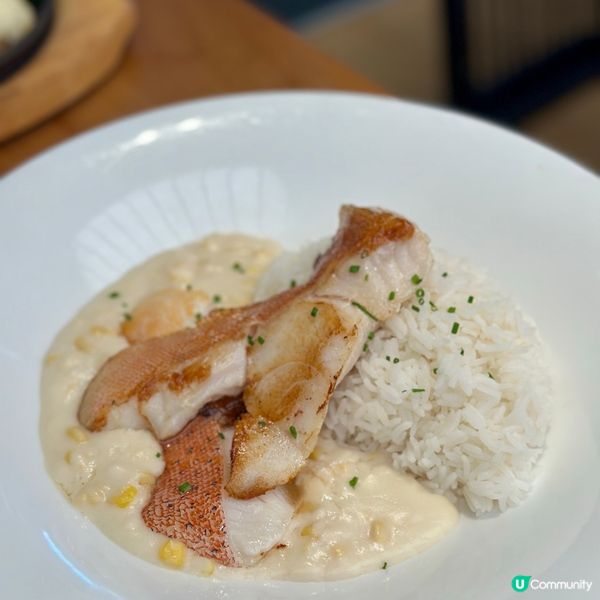 祥仔港式西餐茶記😋 東星斑粟米飯必試！🐟🌽