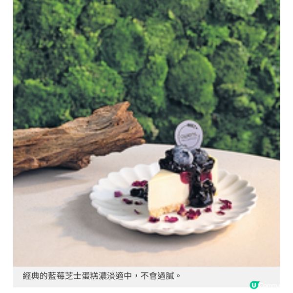 波希米亞風cafe進駐屯門套餐海鮮入饌性價比高