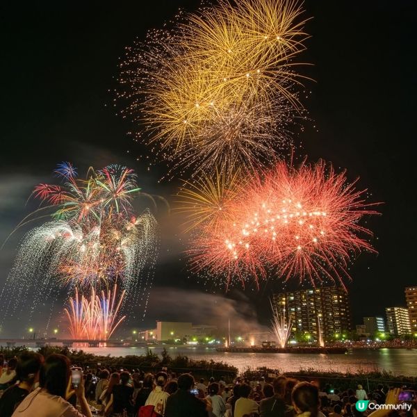 新潟花火取消😭！來年再約夏祭🥳！ #新潟花火 #