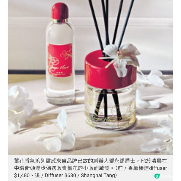 Shanghai Tang 薑花香