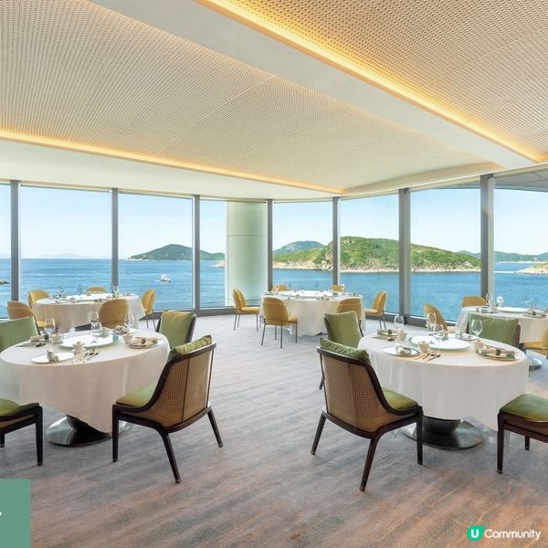 富麗敦玉中菜廳期間限定 肉骨茶小籠包氣泡茶買一送一