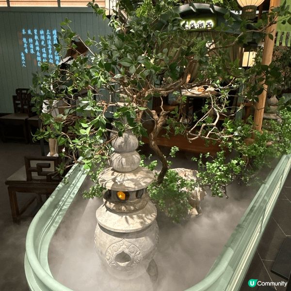 ₊✧˚﹕︶︶ 爆炸多人既綠茶 ︶︶﹕ ˚✧₊