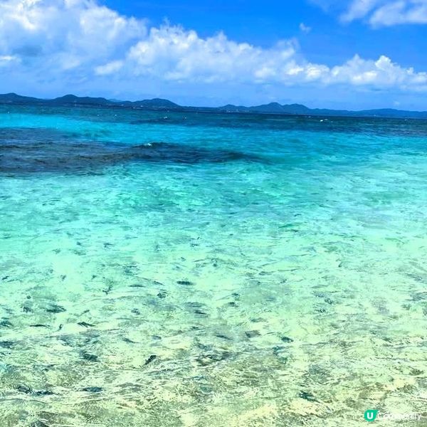 沖繩大泊海灘🏖️！水清沙幼勁爽！🌊☀️
