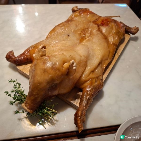 高質西班牙菜餐廳❤️超脆皮西班牙乳豬😍切乳豬慶祝生日🎂