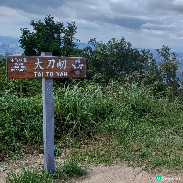 粉嶺車站 大刀屻 北大刀屻 嘉道理農場
