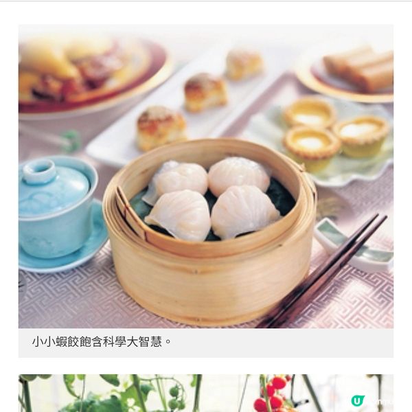 舌尖上的科學STEM美食文化大探索