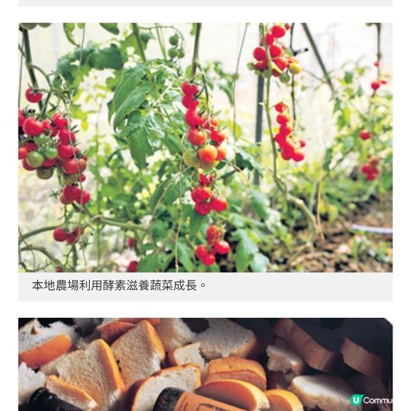 舌尖上的科學STEM美食文化大探索