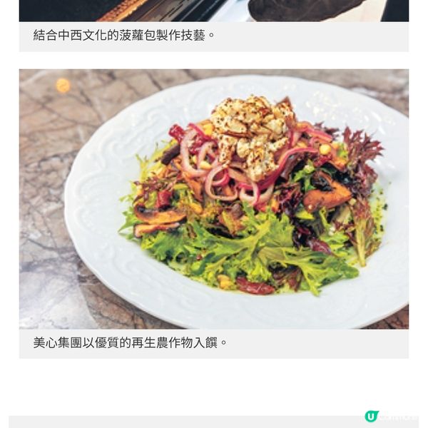 舌尖上的科學STEM美食文化大探索