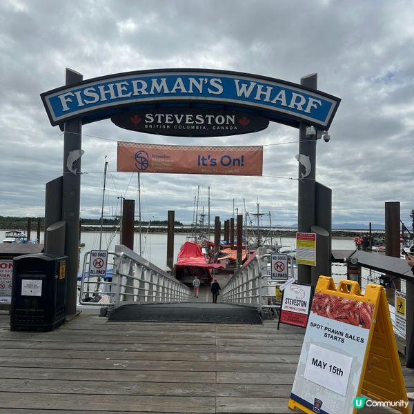 🇨🇦溫哥華漁人碼頭 食蝦🦐睇日落🌅 chill遊加拿大🙂‍↔️