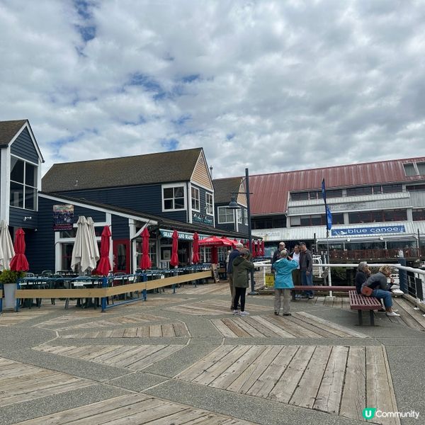 🇨🇦溫哥華漁人碼頭 食蝦🦐睇日落🌅 chill遊加拿大🙂‍↔️