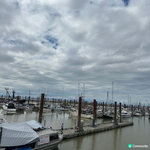 🇨🇦溫哥華漁人碼頭 食蝦🦐睇日落🌅 chill遊加拿大🙂‍↔️