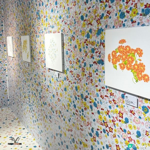 小櫻展🌸！童年回憶返晒嚟！旺角見！💖✨ #百變小櫻