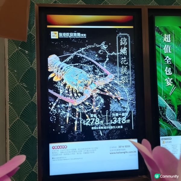 海港酒家(將軍澳尚德廣場店) 新店開幕