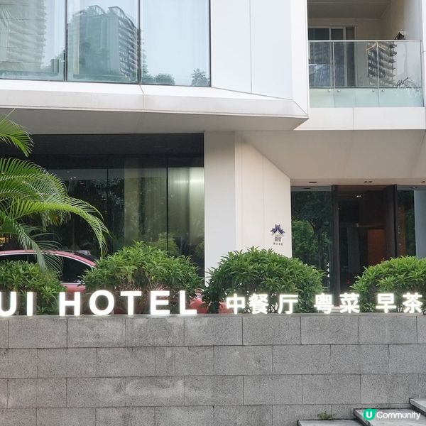 深圳藝術之旅！📸 奢華酒店體驗！✨