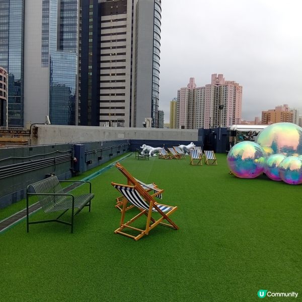 帶埋毛孩去放電！🐶💨 D2Place寵物花園等你嚟！