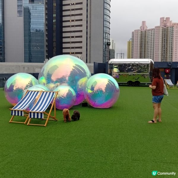 帶埋毛孩去放電！🐶💨 D2Place寵物花園等你嚟！