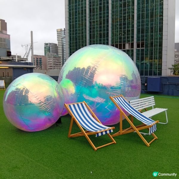 帶埋毛孩去放電！🐶💨 D2Place寵物花園等你嚟！